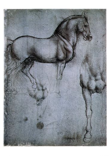 Reprodukce - Renesance - Studio di cavali, Leonardo da Vinci