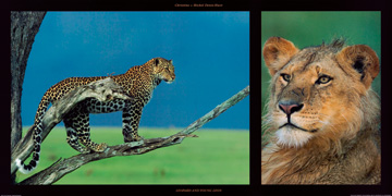 Reprodukce - Zvířata - Leopard and Young Leon, Michel et Christine Denis-Huot