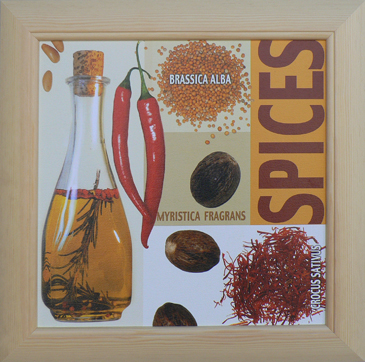 Spices-Indické koření, Ute Nuhn