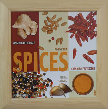Spices-Směs koření, Ute Nuhn