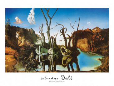 Surrealismus - Reflections of Elephants, Salvador Dalí