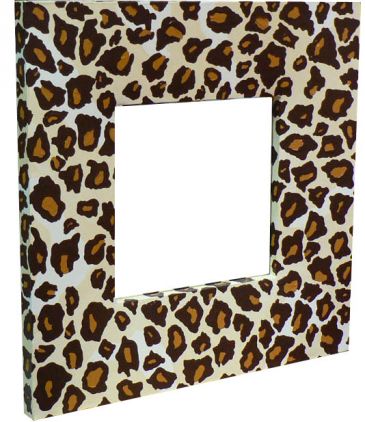 Zrcadlo - Gepard